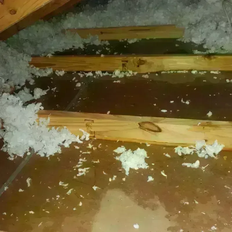 Attic Water Damage in La Monte, MO